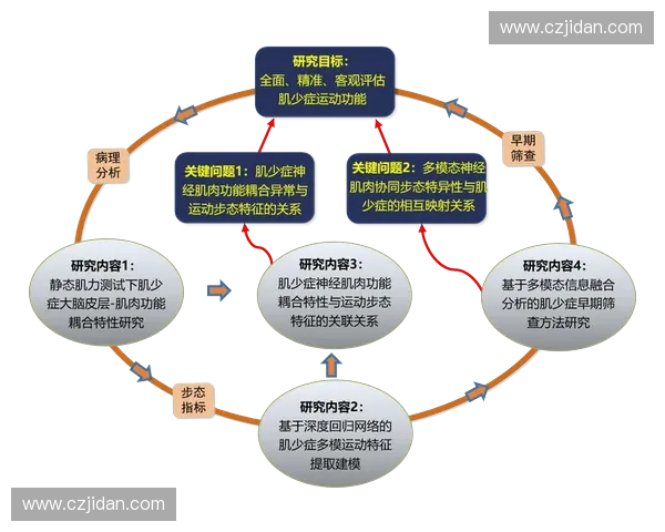 肌群协调训练对运动表现的提升作用及其科学机制分析