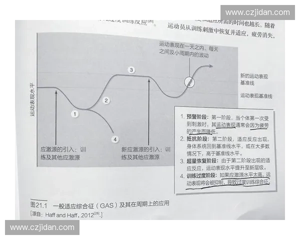 肌群恢复枪助力肌肉放松与恢复 提升运动表现与减少疲劳 肌群恢复枪助力肌肉放松与恢复 提升运动表现与减少疲劳